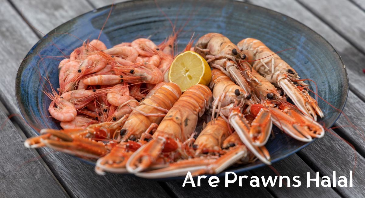 Are Prawns Halal