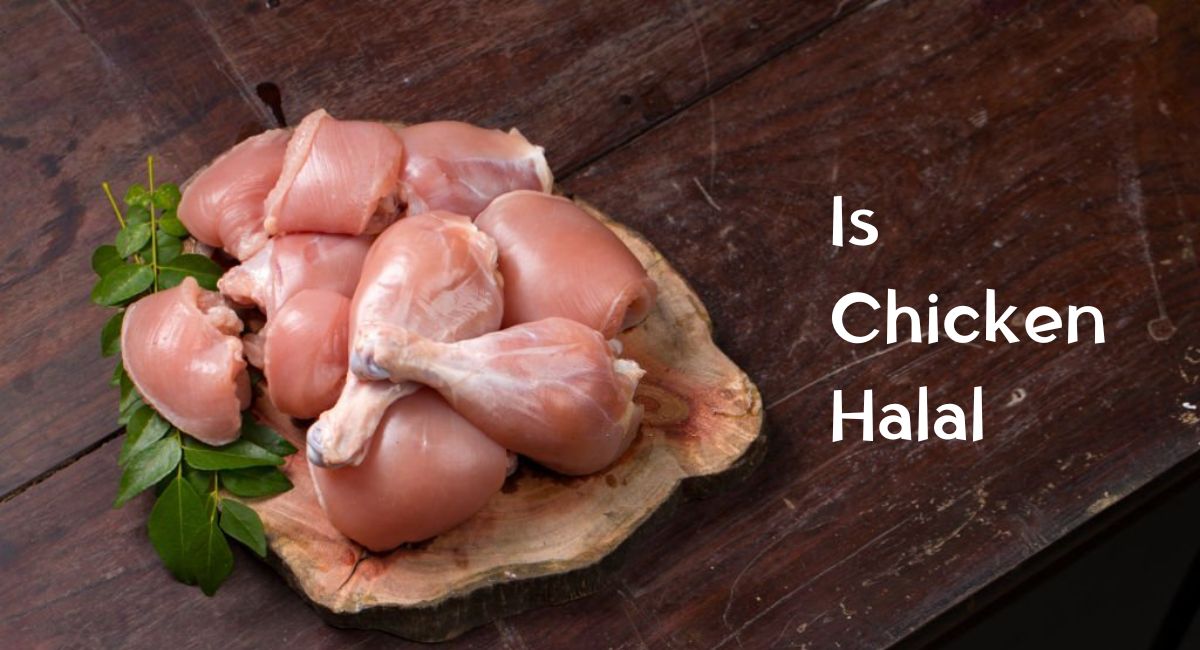 Is Chicken Halal