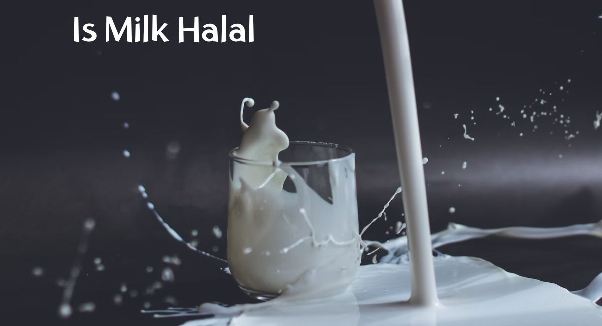 Is Milk Halal