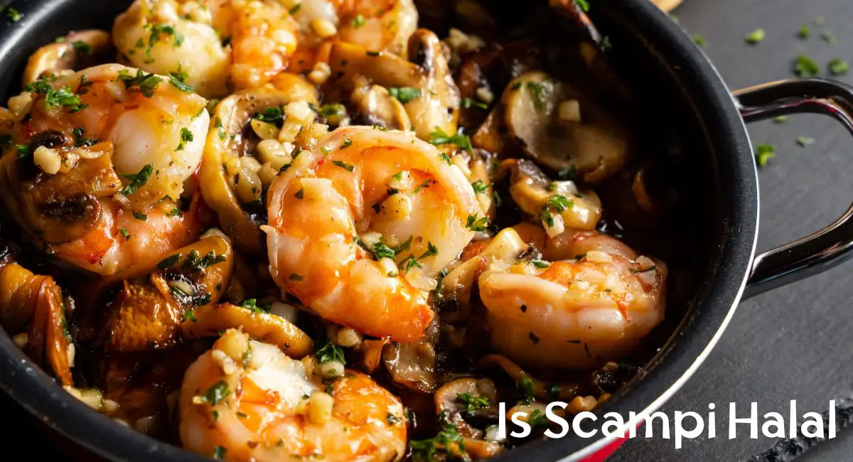 Is Scampi Halal