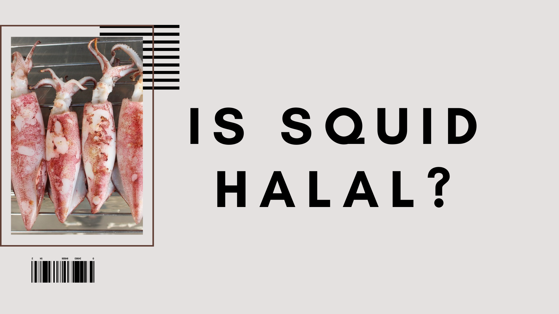 is squid halal