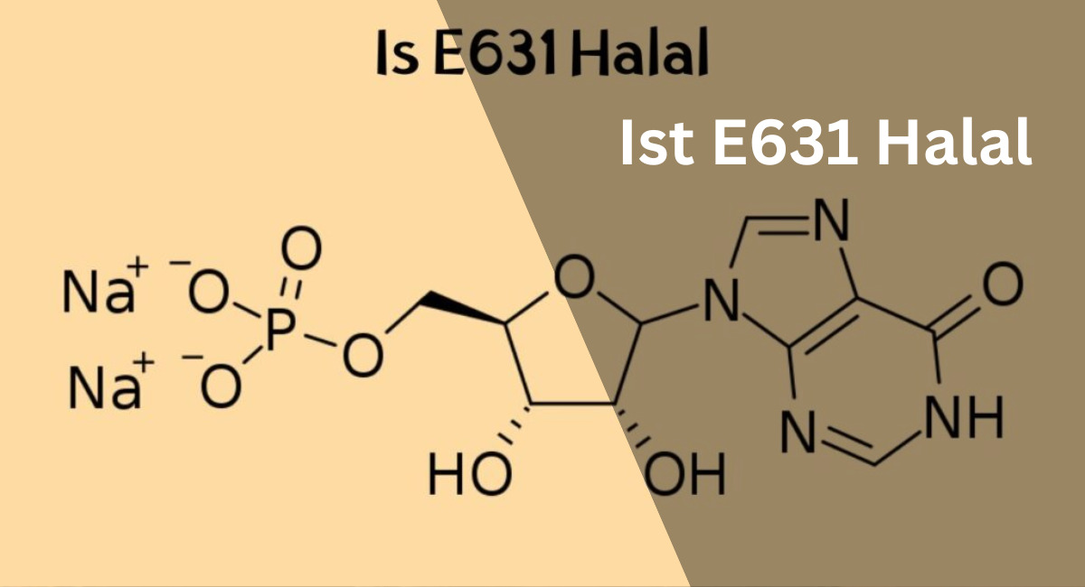 Ist E631 Halal