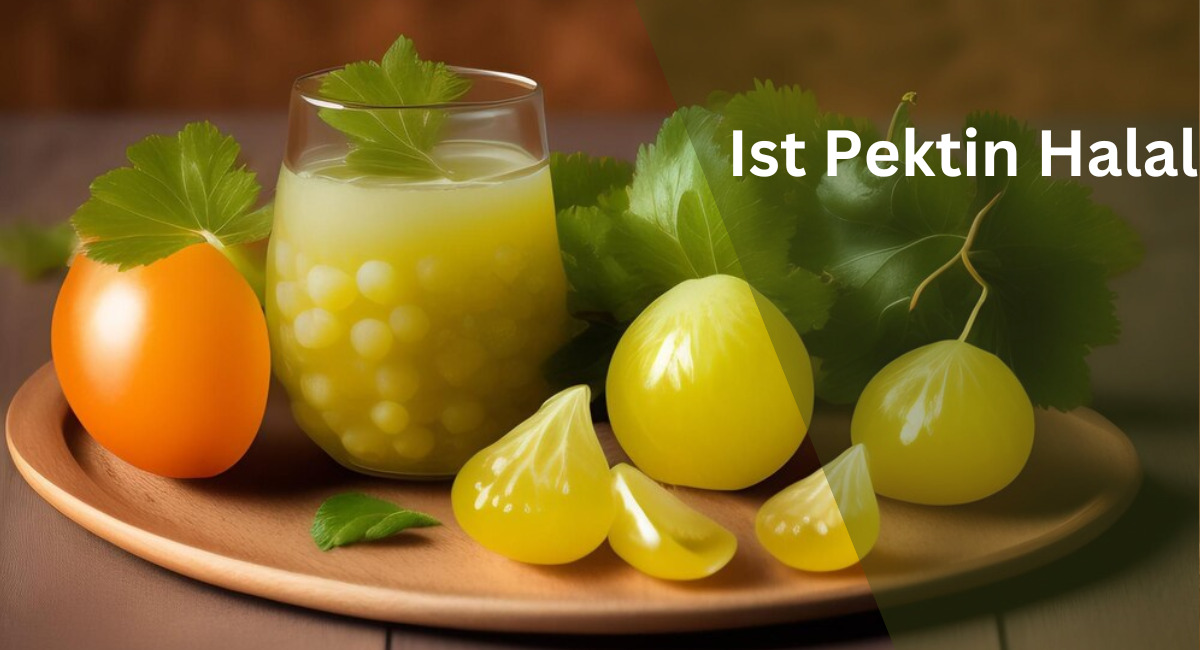 Ist Pektin Halal