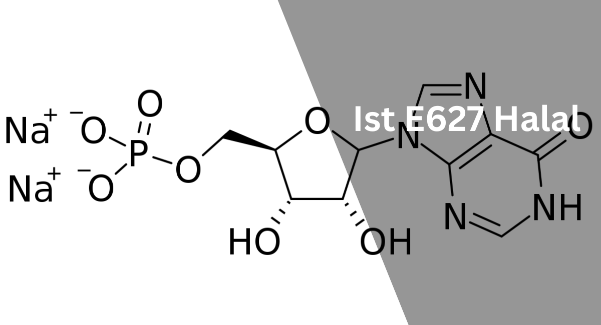 Ist E627 Halal